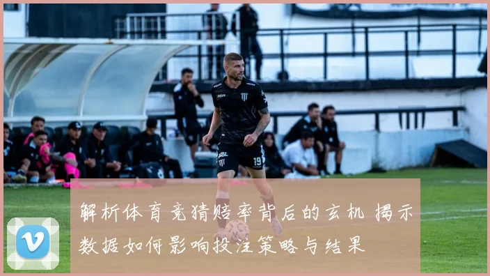 解析体育竞猜赔率背后的玄机 揭示数据如何影响投注策略与结果