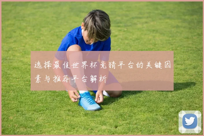 选择最佳世界杯竞猜平台的关键因素与推荐平台解析