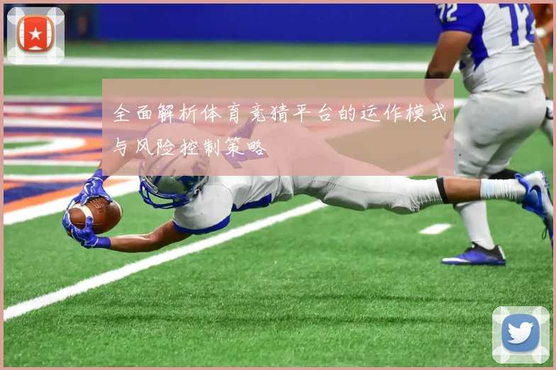 全面解析体育竞猜平台的运作模式与风险控制策略