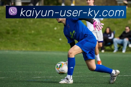 开云平台生态图